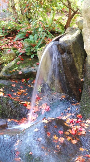 DSC03568 (2)